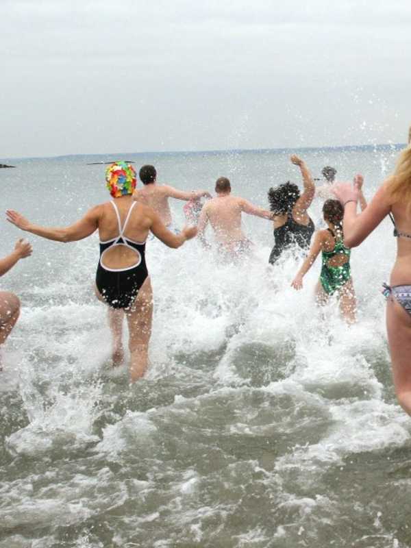 Dozens A Take Chilly Dip At Polar Plunge In Rye