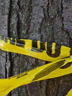 Hudson Valley Man, 34, Accused Of Beating Neighbor With Shotgun