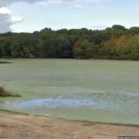 Ambush Stabbing: 24-Year-Old Seriously Injured In Attack At Long Island Park