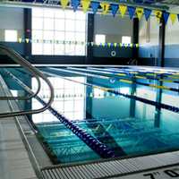 Applications Available To Fill Lifeguard Jobs At Lyndhurst Community Pool