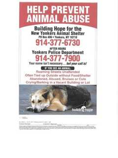 Animal Defenders Launch Anti-Abuse Campaign At Yonkers Bus Stops