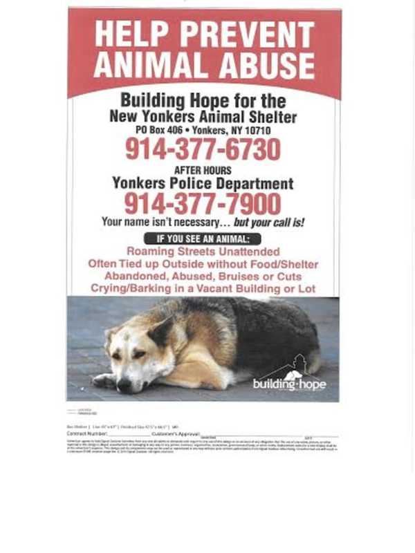 Animal Defenders Launch Anti-Abuse Campaign At Yonkers Bus Stops