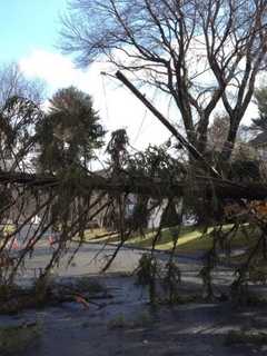 Malloy Declares State Of Emergency To Fix Power Outages