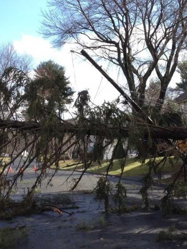 Malloy Declares State Of Emergency To Fix Power Outages