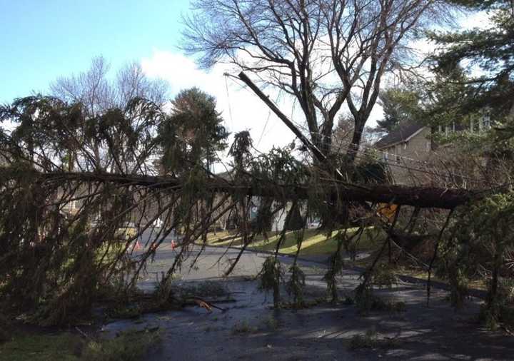 Trees were knocked down throughout Connecticut Wednesday night, resulting in widespread power outages.