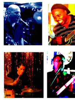 'Elegant Primates' To Perform In Free Band Concert At Trumbull Library