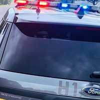 Horse Struck Dead By Van In Lancaster County: State Police