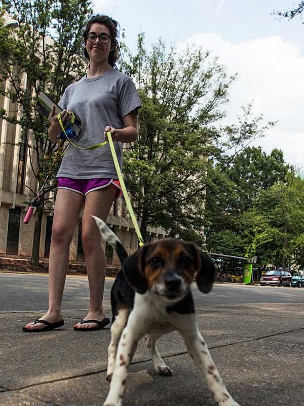 Leonia Board Of Health Offers Daily Pet Licensing