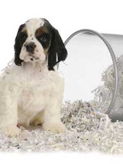 Fort Lee Organizes Paper Shredding Event