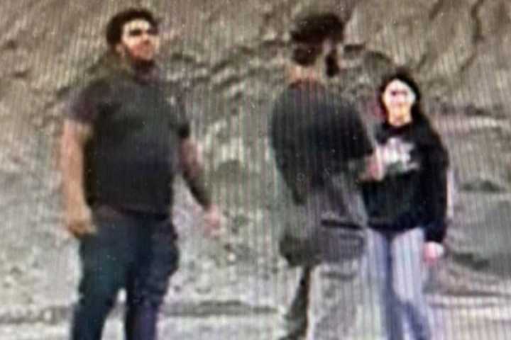 3 Suspects Sought For Vandalism At Berks Co. Quarry: Police