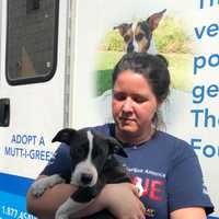 <p>One of the team members with a rescued dog.</p>