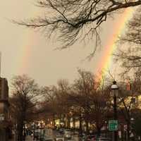 <p>The images were captured following a downpour.</p>