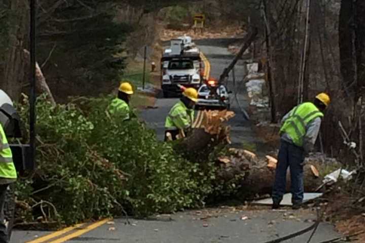 Winds Result In Downed Trees, Wires