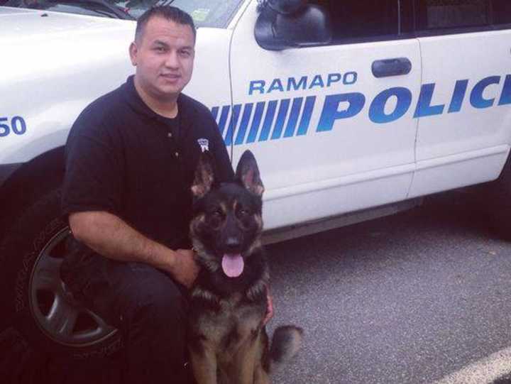 Police dogs and their handlers from Ramapo and other local police agencies participated in a training event Thursday by searching the county jail for drugs and other contraband. Ramapo police Officer A. Sanchez poses with K-9 &quot;Rookie.&quot;