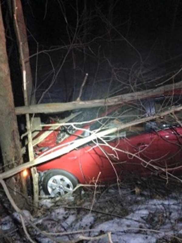 Driver Falls Asleep, Crashes Car In Montebello, Police Say