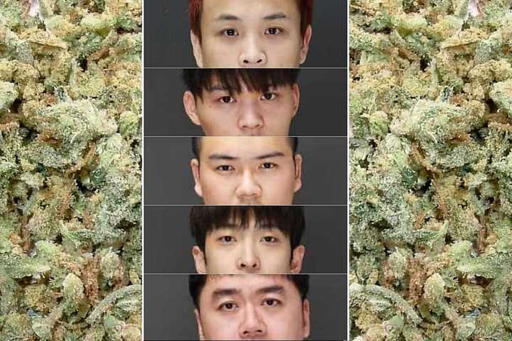 CANNABUST: NJ Detectives Nab NYC Five With 1,100 Pounds Of Pot, 50 Lbs Of Edibles