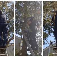 4-Year-Old Rescued From Tree By Firefighters In Danbury