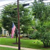 UPDATE: Tree Worker Recovered By Firefighters In Closter Pronounced Dead At Scene
