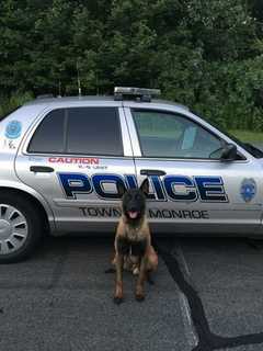 Monroe Police Welcome New K-9 To The Force