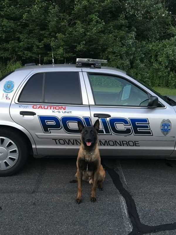 Monroe Police Welcome New K-9 To The Force