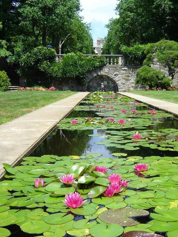 Browse, Buy At Summer Craft Fair In Ringwood Garden