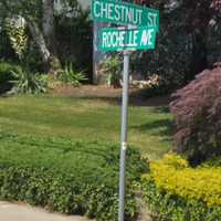 Rochelle Park Pedestrian Pinned Under SUV While Walking Dog