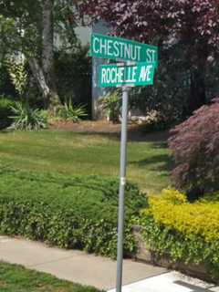 Rochelle Park Pedestrian Pinned Under SUV While Walking Dog