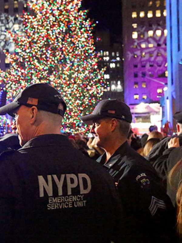 Tight Rockefeller Center Security For Nationally Televised Lighting Of Tree From Hudson Valley