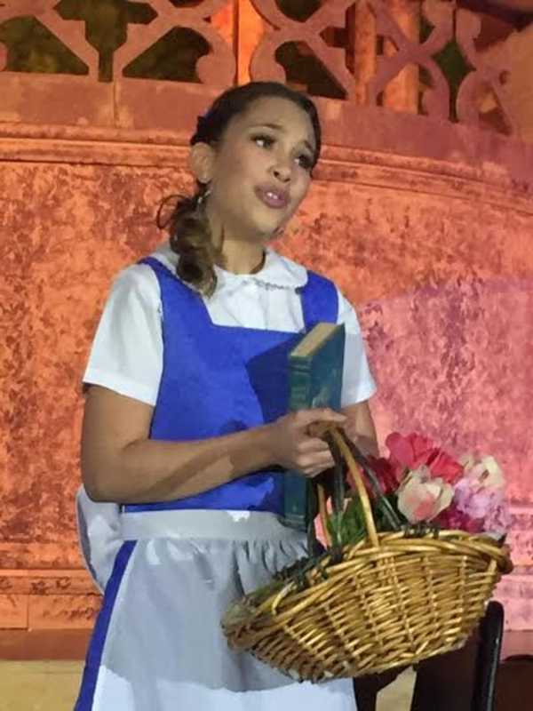 Rogers Students Receive Standing Ovations For Spring Musical Performances