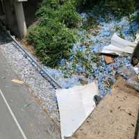 <p>The debris from the crash and water bottle spillage.</p>