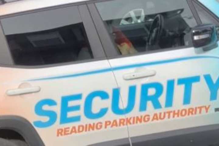 Video Captures 'Alleged Illegal Activity' That Left Reading Parking Authority Employee Jobless