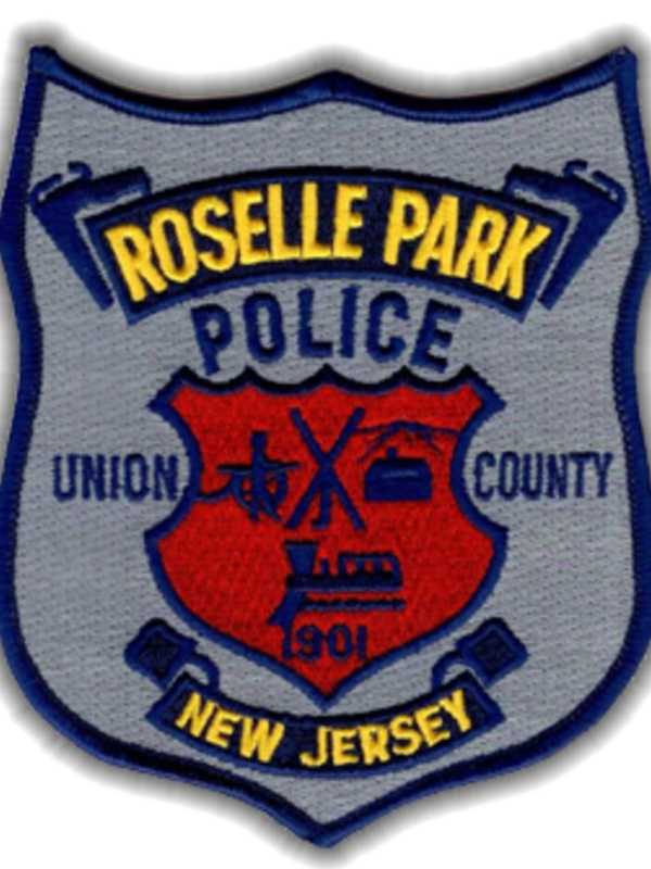 Pair Of Teen Porch Pirates Arrested In Roselle Park, Police Say