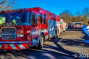 Driver In Serious Condition After Cattle Trailer Crash On Route 309 Bypass In West Rockhill