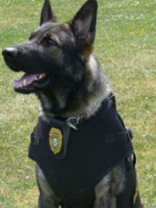 Fairfield Police Throw Fundraiser For K9 Unit