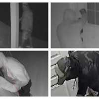 <p>Allegedly Russian-speaking suspects in the July 11 Lower Moreland burglary</p>