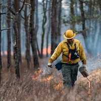 <p>A prescribed burn at Stafford Forge Wildlife Management Area on March 5, 2022.

 

]</p>