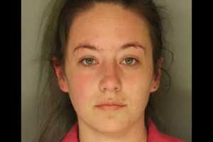 New Holland PD: Repeat Offender Busted With Bogus Car Inspection Sticker