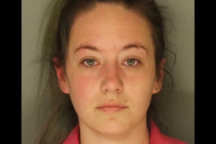 New Holland PD: Repeat Offender Busted With Bogus Car Inspection Sticker