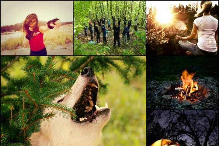 Sign Up For Women's Warrior Wolf Retreat At Wolf Conservation Center 