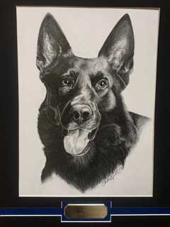 Newtown Kennel Club Donates $15K for New K-9 officer