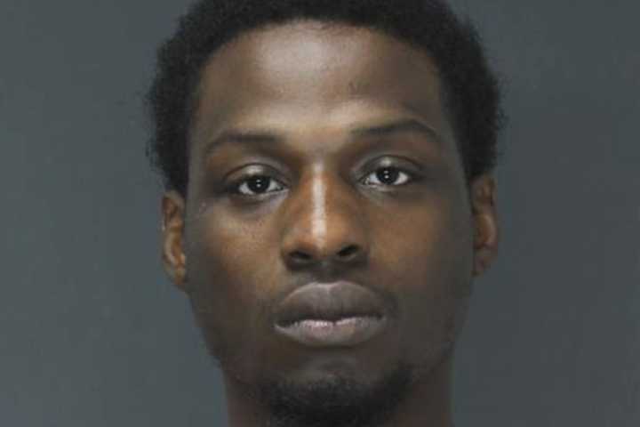 Route 17 Stop: NY State Ex-Con Had Drugs, Ammo, Rochelle Park PD Says