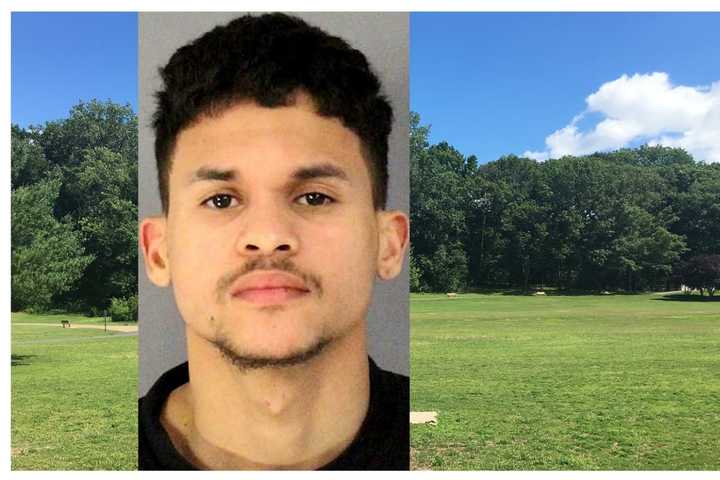 Teen Nabbed After Pulling Gun During Bogus Bicycle Sale In Wallington Park, Prosecutor Says