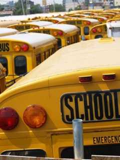 Lax Monitoring Of School Transit Pacts Cost Yonkers $160,000, Report Says