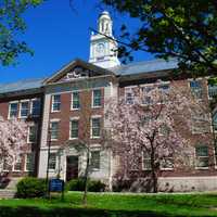SUNY To Officially Recognize Students' Chosen Names, Pronouns