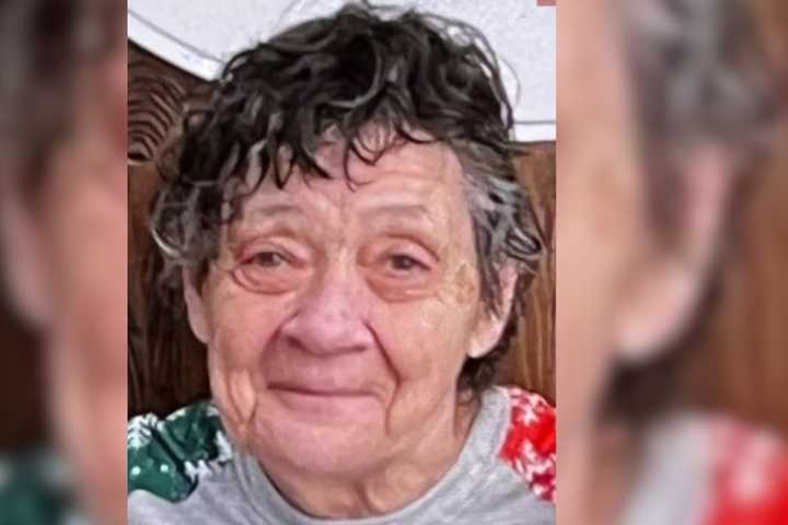 Missing Levittown Woman 'In Considerable Danger': Police