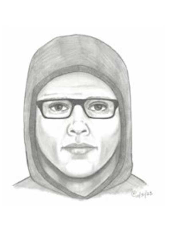 Composite Sketch Released Of Serial Exposer Who Targeted Minor In Fairfax County