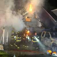 <p>The tree fell on nearby Birk Street, bringing down the utility lines.</p>