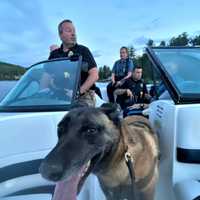 <p>K-9 Emma on the hunt by boat.</p>