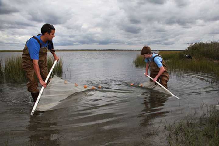 A new service learning initiative at the SWBOCES Center for Career Services in Valhalla is starting soon. Here, the Hudson River Estuary Project coordinated with the Center for the Urban River at Beczak and Sarah Lawrence College.