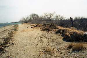 Norwalk Police Attempt To Identify Man Found Dead On Shea Island In 1996